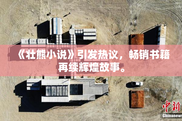 《壮熊小说》引发热议，畅销书籍再续辉煌故事。