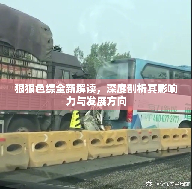 狠狠色综全新解读，深度剖析其影响力与发展方向