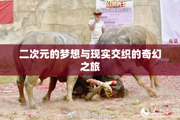 二次元的梦想与现实交织的奇幻之旅