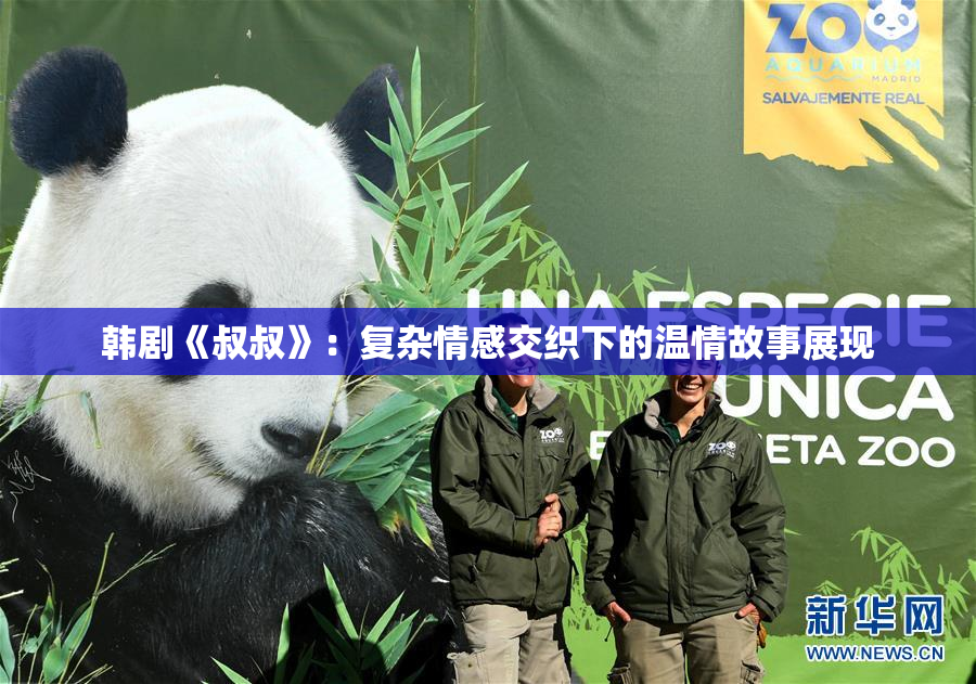 韩剧《叔叔》：复杂情感交织下的温情故事展现