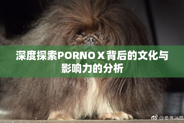 深度探索PORNOⅩ背后的文化与影响力的分析