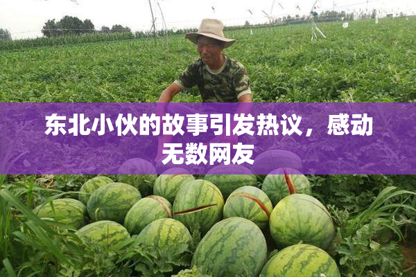 东北小伙的故事引发热议，感动无数网友