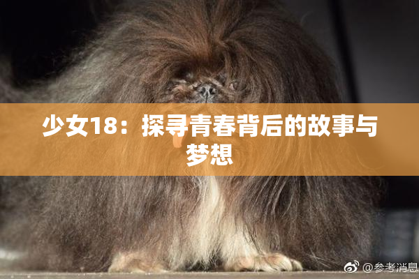 少女18：探寻青春背后的故事与梦想