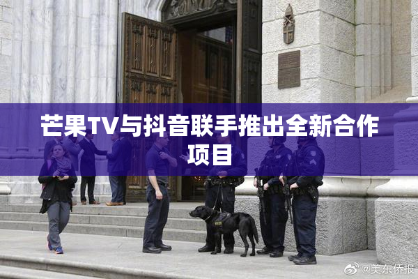 芒果TV与抖音联手推出全新合作项目