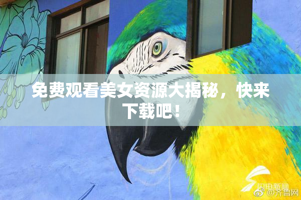 免费观看美女资源大揭秘，快来下载吧！