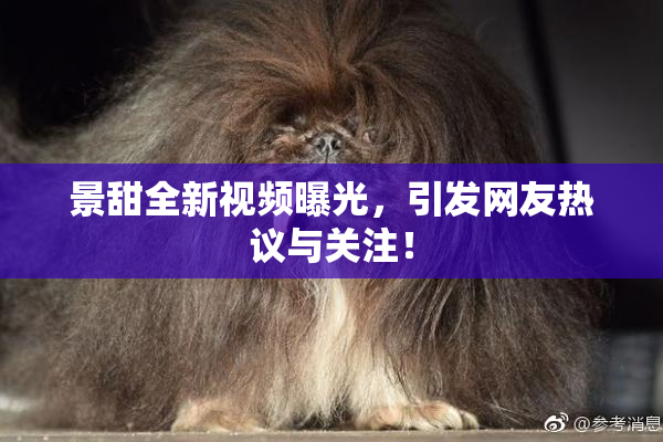 景甜全新视频曝光，引发网友热议与关注！