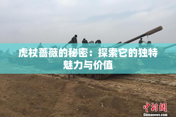 虎杖蔷薇的秘密：探索它的独特魅力与价值
