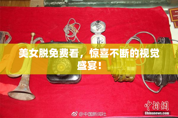 美女脱免费看，惊喜不断的视觉盛宴！