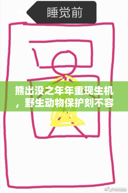 熊出没之年年重现生机，野生动物保护刻不容缓