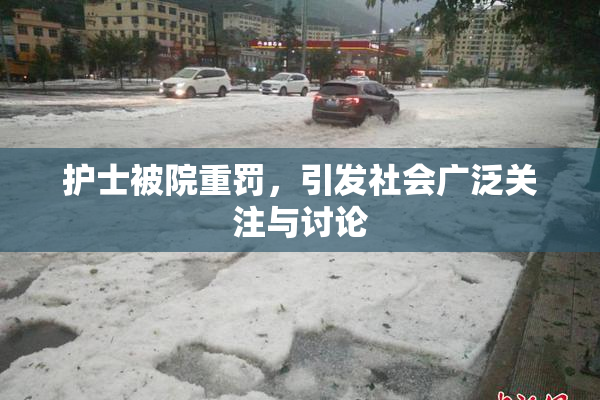 护士被院重罚，引发社会广泛关注与讨论