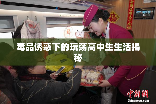 毒品诱惑下的玩荡高中生生活揭秘