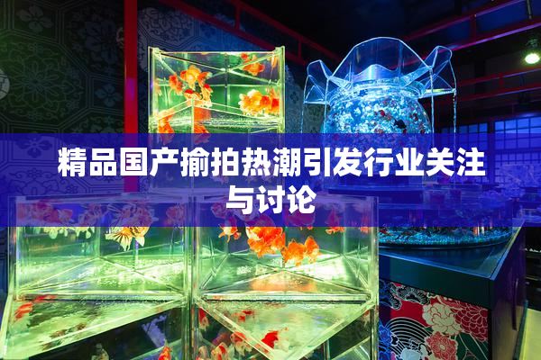 精品国产揄拍热潮引发行业关注与讨论
