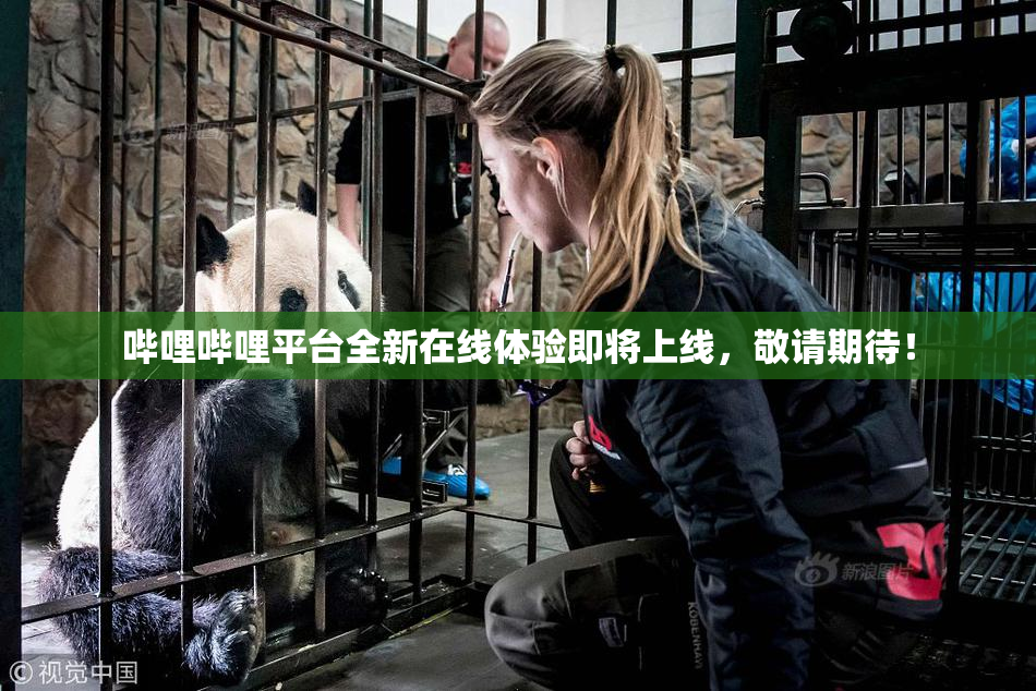 哔哩哔哩平台全新在线体验即将上线，敬请期待！