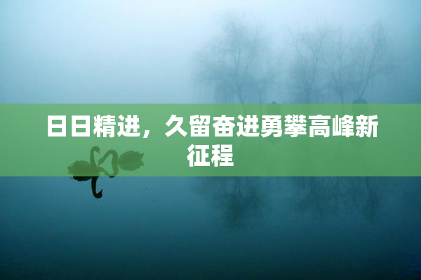 日日精进，久留奋进勇攀高峰新征程