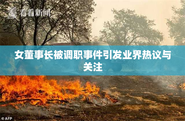 女董事长被调职事件引发业界热议与关注