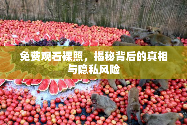 免费观看裸照，揭秘背后的真相与隐私风险