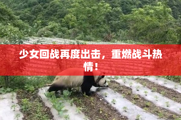 少女回战再度出击，重燃战斗热情！
