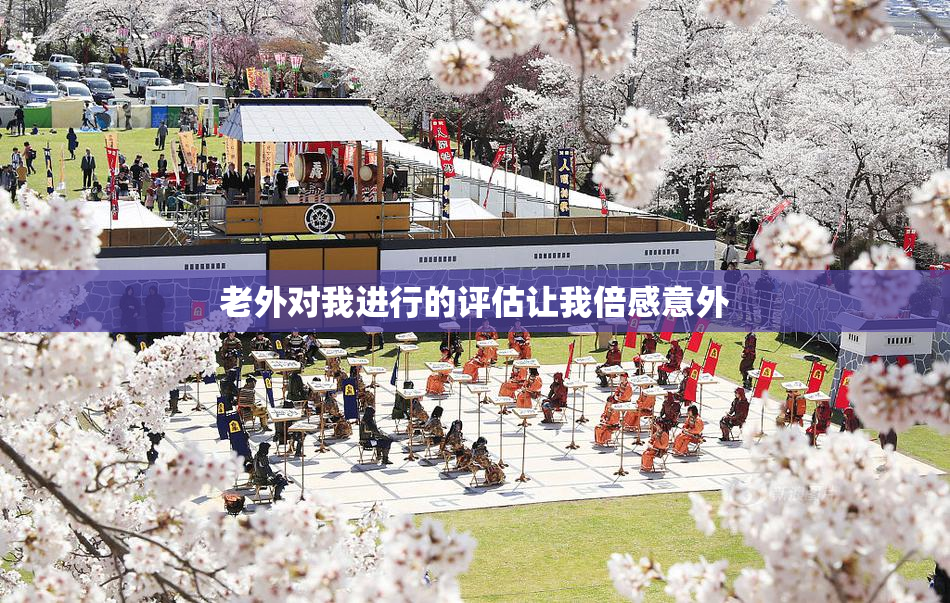 老外对我进行的评估让我倍感意外