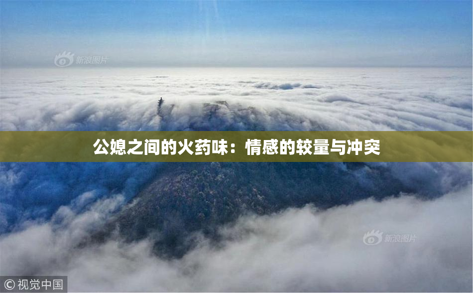公媳之间的火药味：情感的较量与冲突