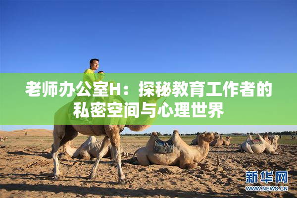 老师办公室H：探秘教育工作者的私密空间与心理世界