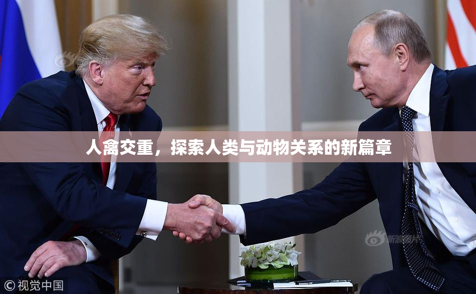 人禽交重，探索人类与动物关系的新篇章