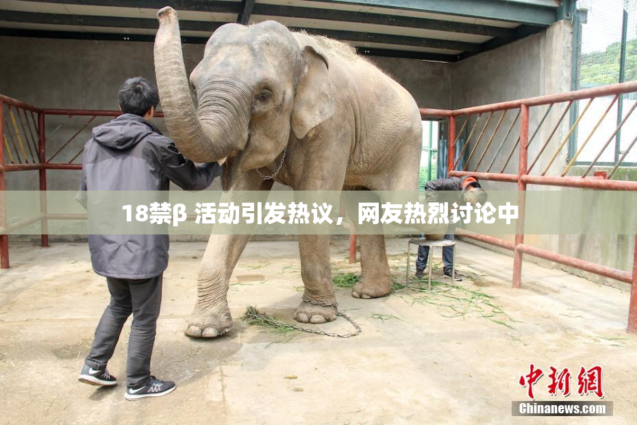 18禁β 活动引发热议，网友热烈讨论中