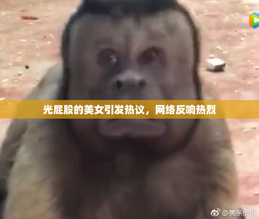 光屁股的美女引发热议，网络反响热烈