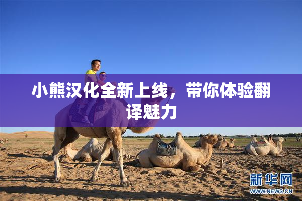 小熊汉化全新上线，带你体验翻译魅力