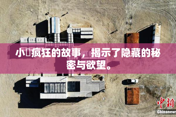 小泬疯狂的故事，揭示了隐藏的秘密与欲望。