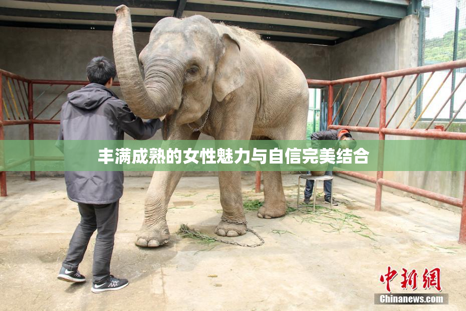 丰满成熟的女性魅力与自信完美结合