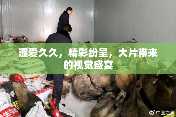 涩爱久久，精彩纷呈，大片带来的视觉盛宴