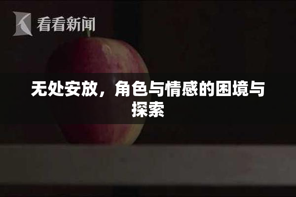 无处安放，角色与情感的困境与探索