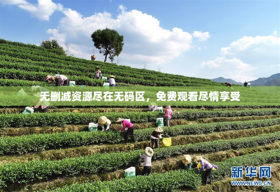 无删减资源尽在无码区，免费观看尽情享受