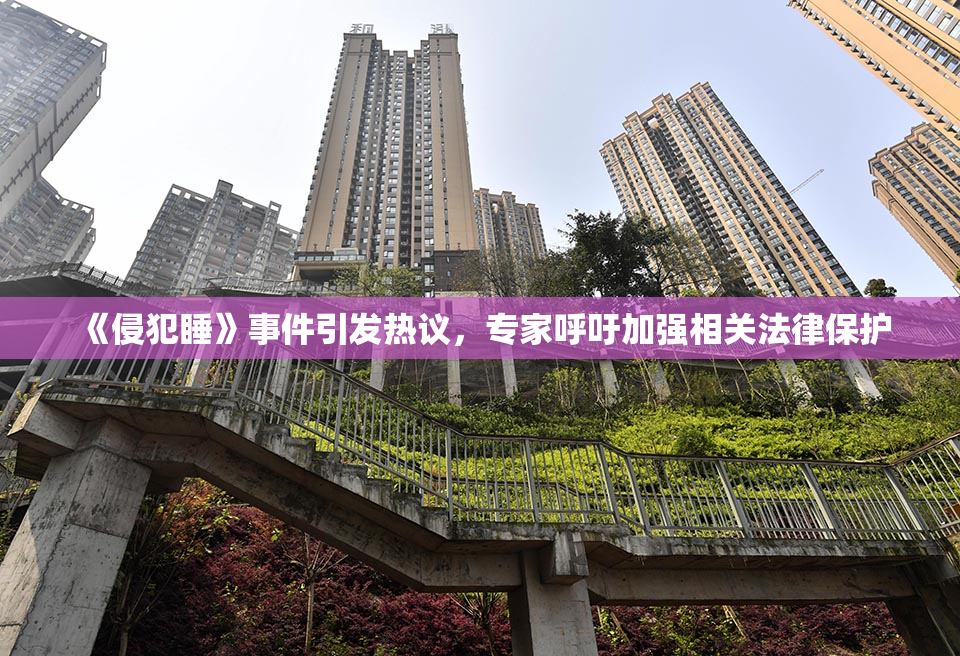 《侵犯睡》事件引发热议，专家呼吁加强相关法律保护