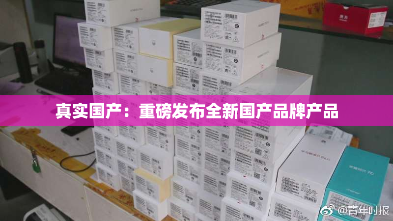真实国产：重磅发布全新国产品牌产品