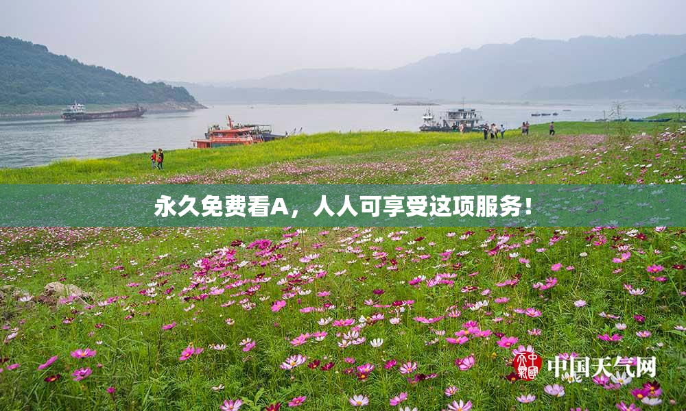 永久免费看A，人人可享受这项服务！