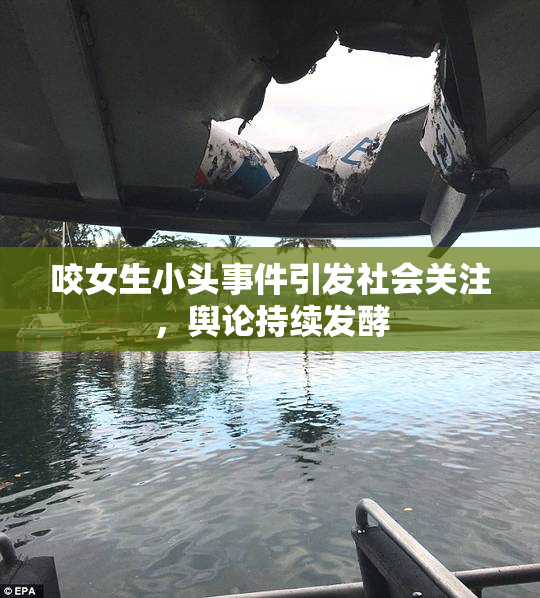 咬女生小头事件引发社会关注，舆论持续发酵