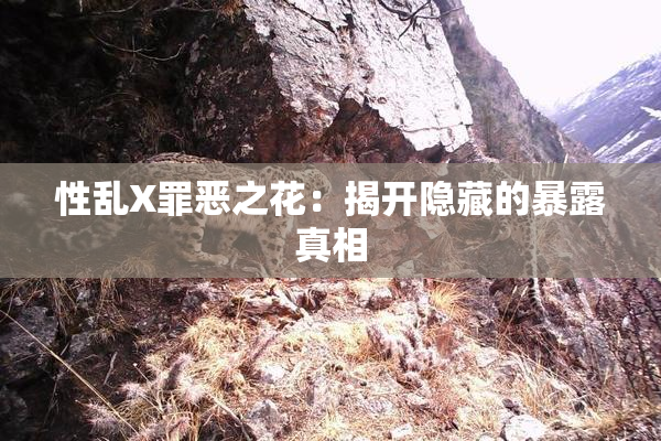性乱X罪恶之花：揭开隐藏的暴露真相