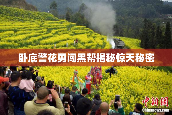 卧底警花勇闯黑帮揭秘惊天秘密