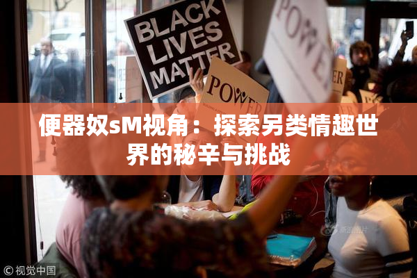 便器奴sM视角：探索另类情趣世界的秘辛与挑战