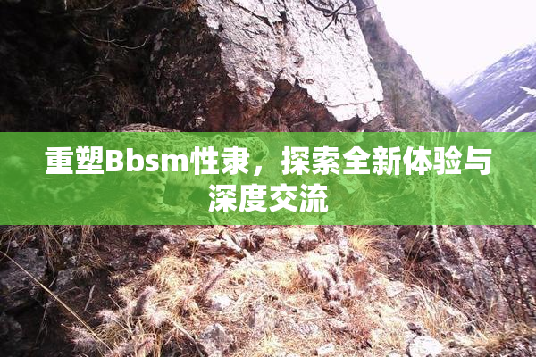 重塑Bbsm性隶，探索全新体验与深度交流