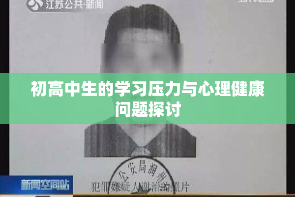 初高中生的学习压力与心理健康问题探讨