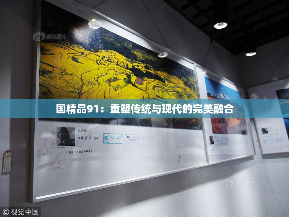 国精品91：重塑传统与现代的完美融合