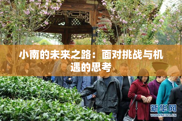 小南的未来之路：面对挑战与机遇的思考