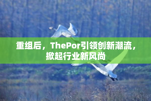 重组后，ThePor引领创新潮流，掀起行业新风尚