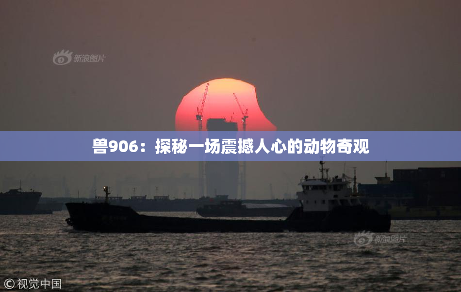 兽906：探秘一场震撼人心的动物奇观