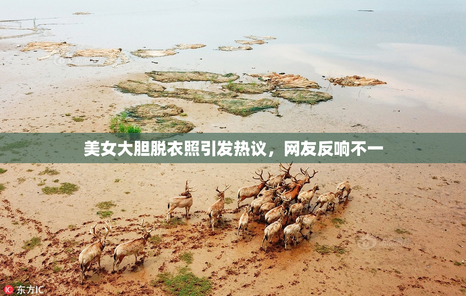美女大胆脱衣照引发热议，网友反响不一