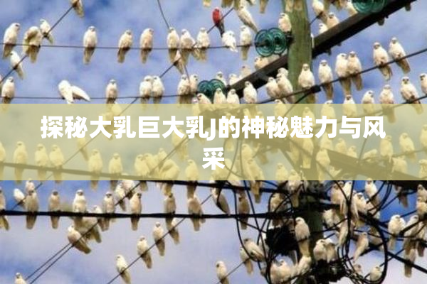 探秘大乳巨大乳J的神秘魅力与风采
