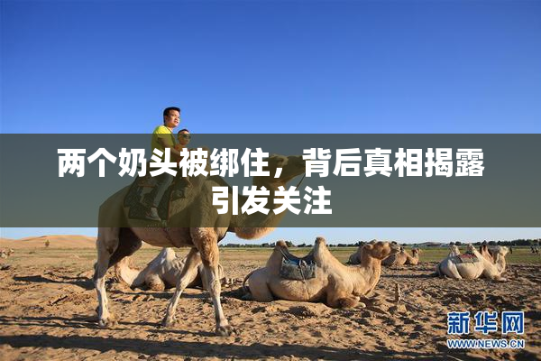 两个奶头被绑住，背后真相揭露引发关注