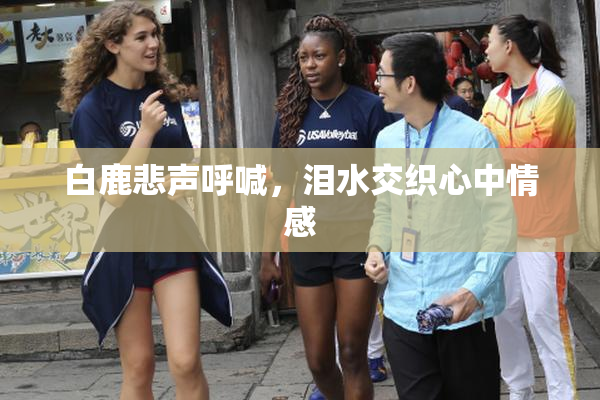 白鹿悲声呼喊，泪水交织心中情感